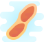 cute clipart style 땅콩 icon