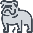 pastel color style bulldogge icon