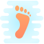 Foot icon