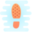 Sole icon