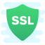 cute clipart style security ssl icon