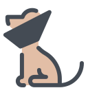 pastel color style dog cone icon