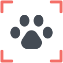 pastel color style footprint scanning icon