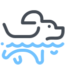 Dog Swim icon