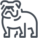 pastel color style bulldog icon