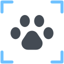 pastel color style footprint scanning icon