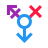 color style 젠더 퀴어 icon