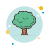 Oak Tree icon