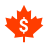 color style canadian dollar icon