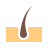 color style haut icon