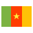 color style 카메룬 icon