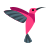 color style hummingbird icon