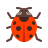 color style ladybug icon