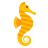 Seahorse icon