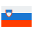 color style slowenien icon