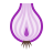 color style onion icon