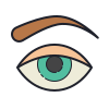 color hand drawn style sourcil icon