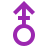 color style género masculino v icon