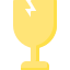 fragile icon