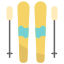ski icon