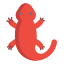 Salamander icon