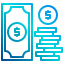 cash icon