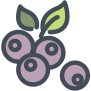 말린 씨앗 icon