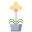 阳光下的植物 icon