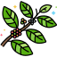 coffee icon
