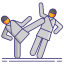 judo icon