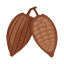 Árvore de chocolate icon
