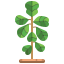leaf icon