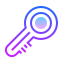 gradient style password key icon