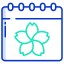 sakura festival icon