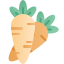 carrots icon