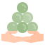 amount icon