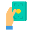 cash icon