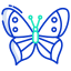 Papillon icon