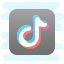 Tik Tok icon