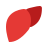 Liver icon