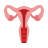 color style 자궁 icon