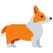 color style corgi icon