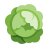 Cabbage icon