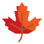 Otoño icon