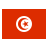 Tunisia icon