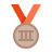 color style bronze medal icon
