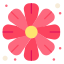 flor externa-primavera-outros-iconmarket icon