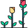 Growing flower icon