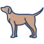 犬 icon