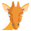 Girafa icon
